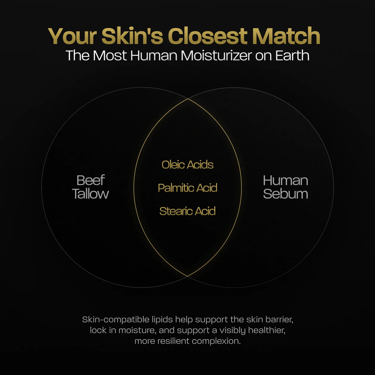 Whipped Tallow Moisturizer